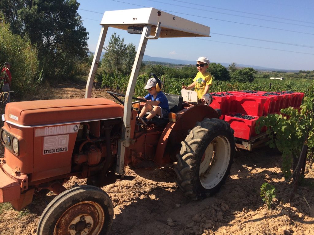 domaine de pierre blanche vins minervois agriculture biologique occitanie