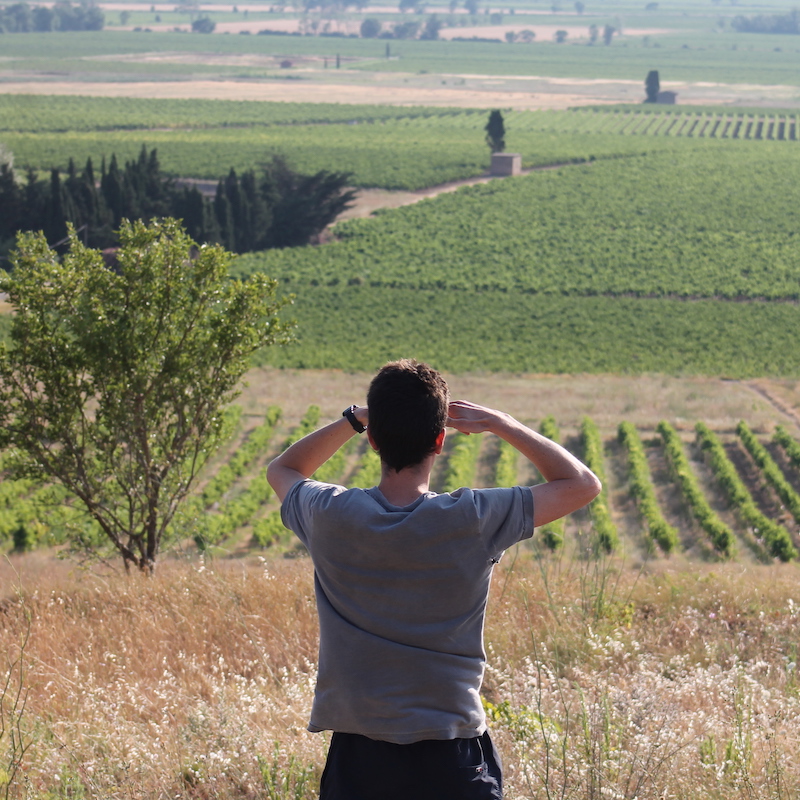 Guilhem Soulié Vignes Domaine de Pierre Blanche agriculture biologique vins minervois