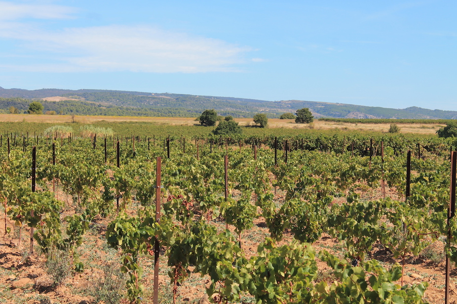 Rieux Minervois Occitanie Languedoc