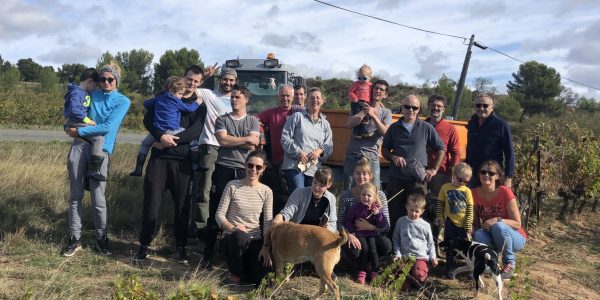 Vendanges manuelles 2020 minervois vins biologiques domaine de pierre blanche